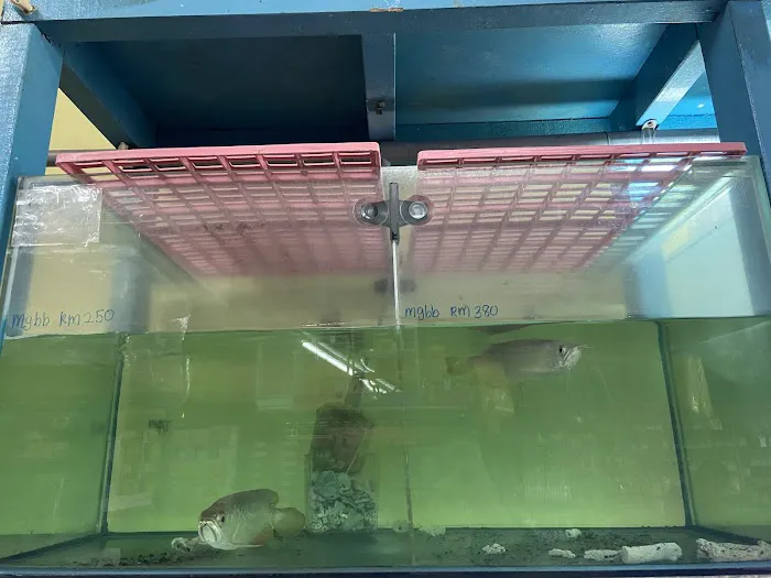My Aquatic Shop Picture 8