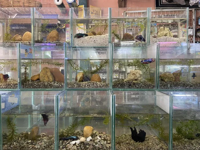 My Aquatic Shop Picture 10