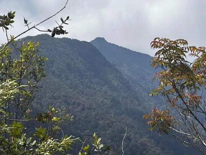 Bukit Hulu Bakau Picture 4