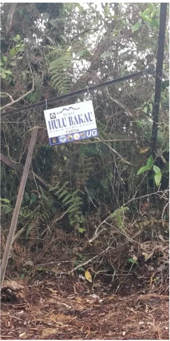 Bukit Hulu Bakau Picture 2