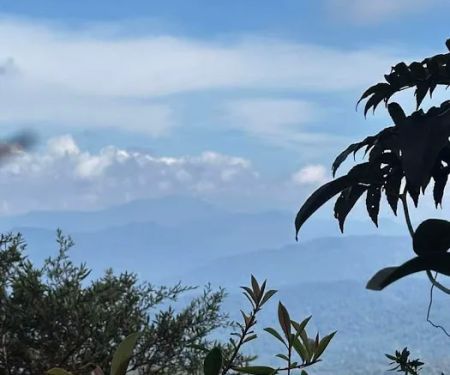 Bukit Hulu Bakau