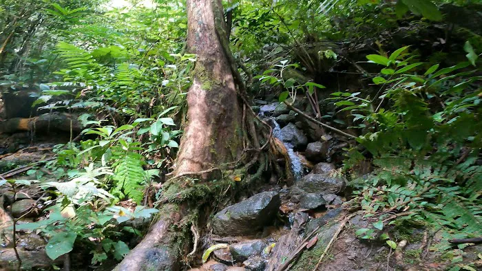 Last Water Point to Hulu Bakau Picture 1