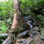 Last Water Point to Hulu Bakau