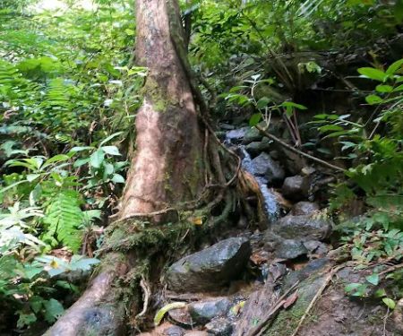 Last Water Point to Hulu Bakau
