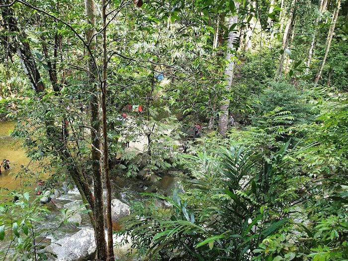 Lata Hammer Waterfall Picture 4
