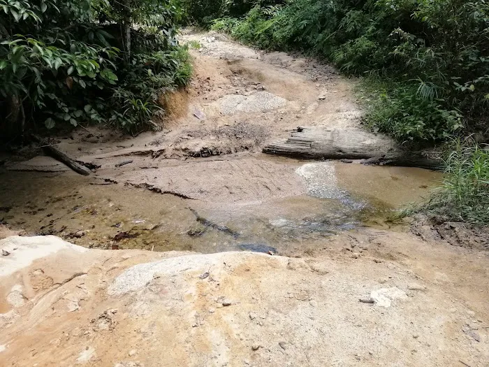 Lata Hammer Waterfall Picture 3