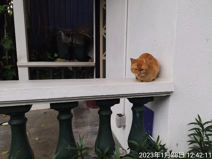 Loke Yew's Mansion Picture 3