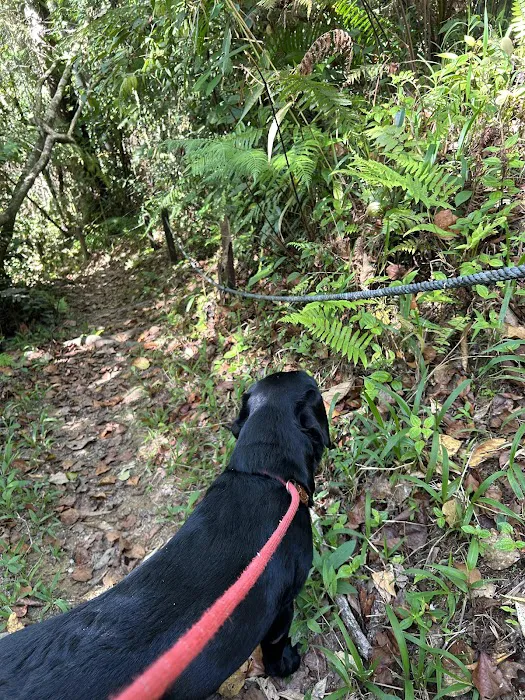 Mager Trail Picture 7
