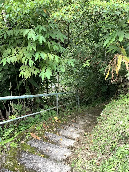 Mager Trail Picture 6