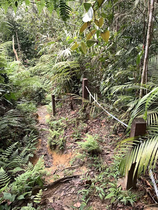 Mager Trail Picture 3
