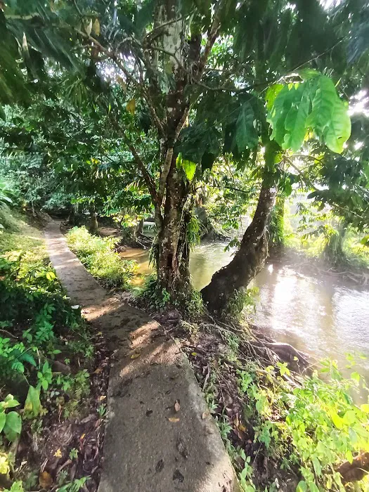 Lata Sia Recreational Park Picture 6