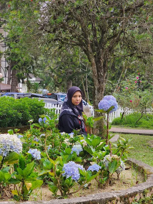 Taman Lady Guillemard Picture 2
