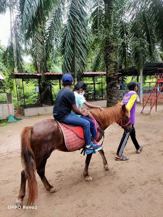 Hussin Fauzi Farm Picture 9