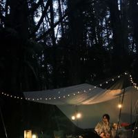campsite pines tree guillemard ico