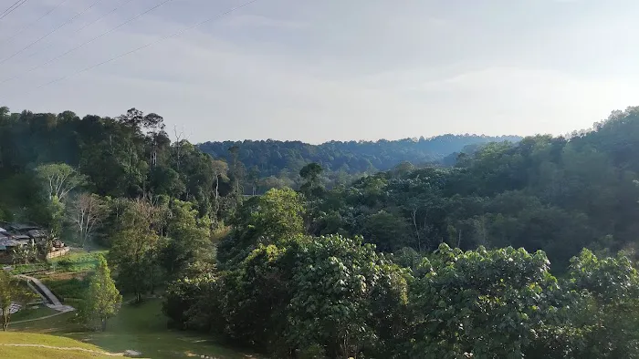 Puncak1 Picture 8