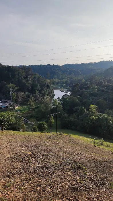 Puncak1 Picture 5