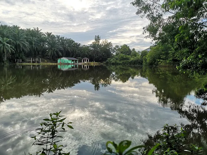 Bukit Denai Alam Trailhead Picture 3