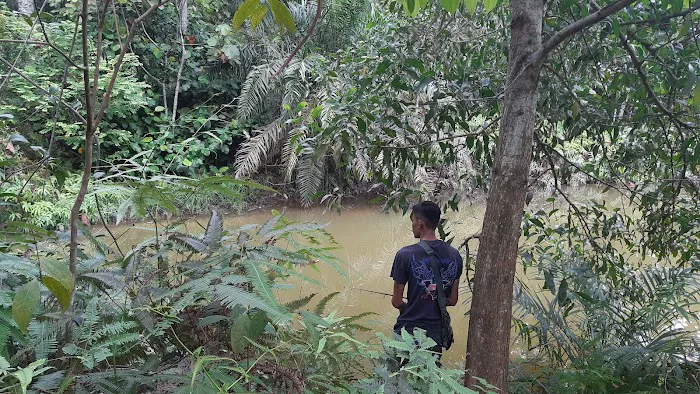Bukit Denai Alam Trailhead Picture 6