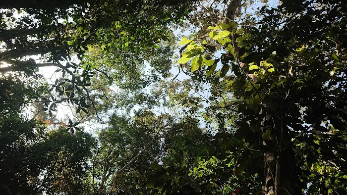 Abu Suradi Trail, 0.5 km long Picture 4