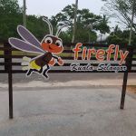 Kampung Kuantan Fireflies Park (Selangor)
