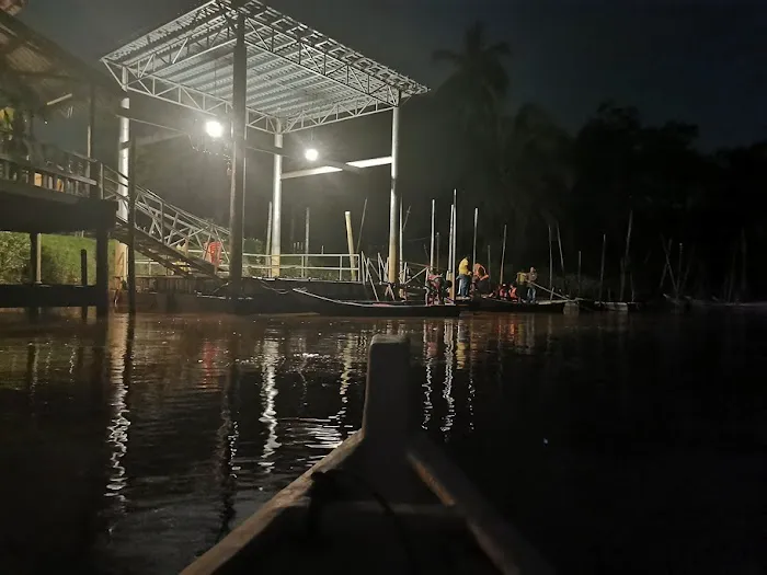 Kampung Kuantan Fireflies Park (Selangor) Picture 3