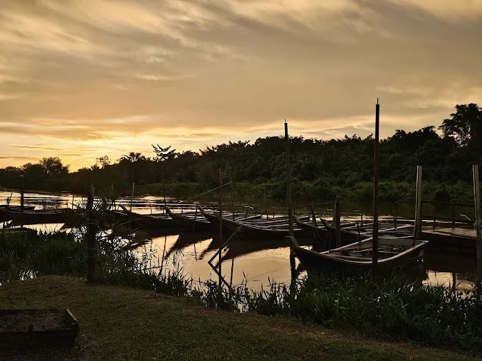 Kampung Kuantan Fireflies Park (Selangor) Picture 7