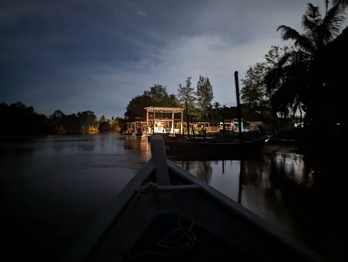 Kuala Selangor Fireflies Picture 1