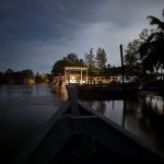 Kuala Selangor Fireflies