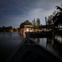 Kuala Selangor Fireflies ico