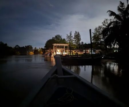 Kuala Selangor Fireflies