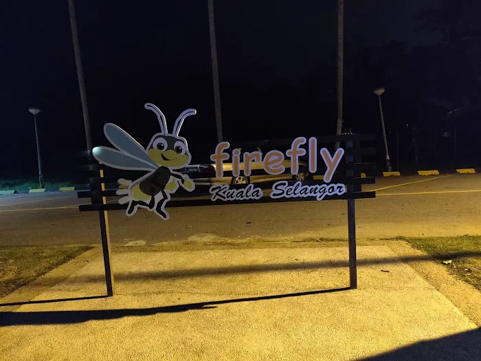 Kuala Selangor Fireflies Picture 2