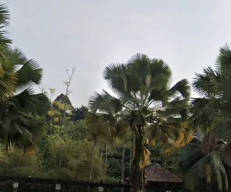 Seri Hijauan Roundabout