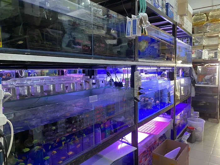 Jia Wei Aquaria Centre Picture 6
