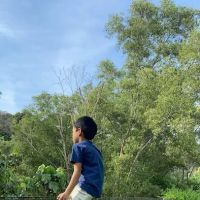 The Danau Khirana ico
