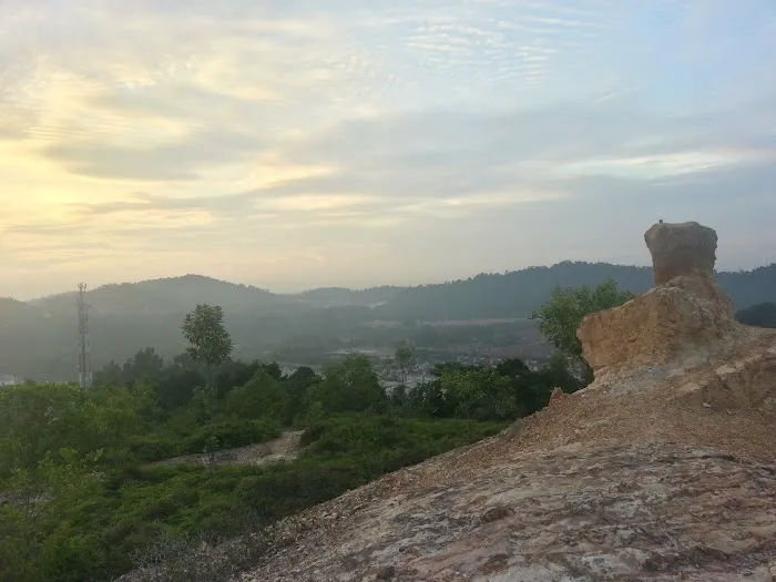 Bukit Puncak Perdana Picture 7