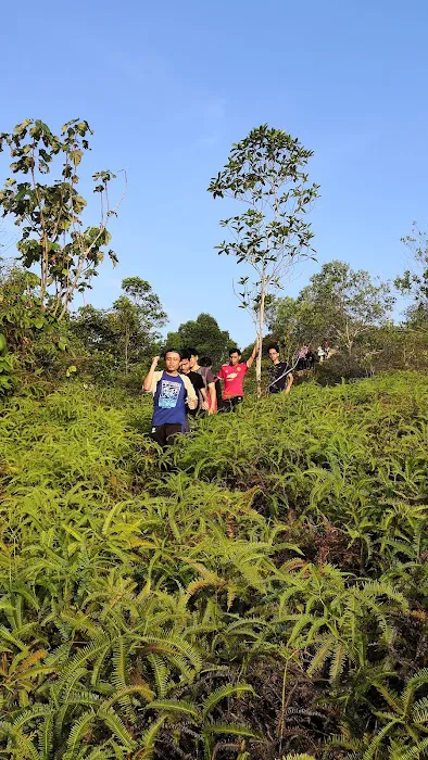 Bukit Puncak Perdana Picture 8