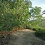 Budiman Peak