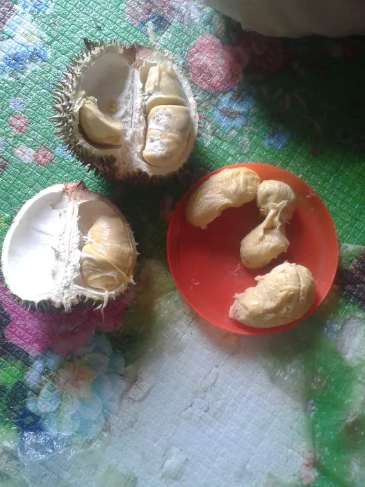 Kedai Nuar Roti Canai Picture 1