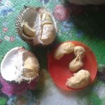 Kedai Nuar Roti Canai