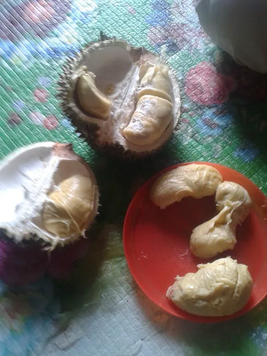 Kedai Nuar Roti Canai Picture 2