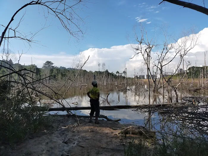 10C Setia Alam trail Picture 6