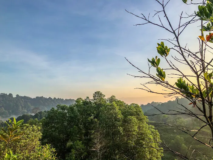 10C Setia Alam trail Picture 5
