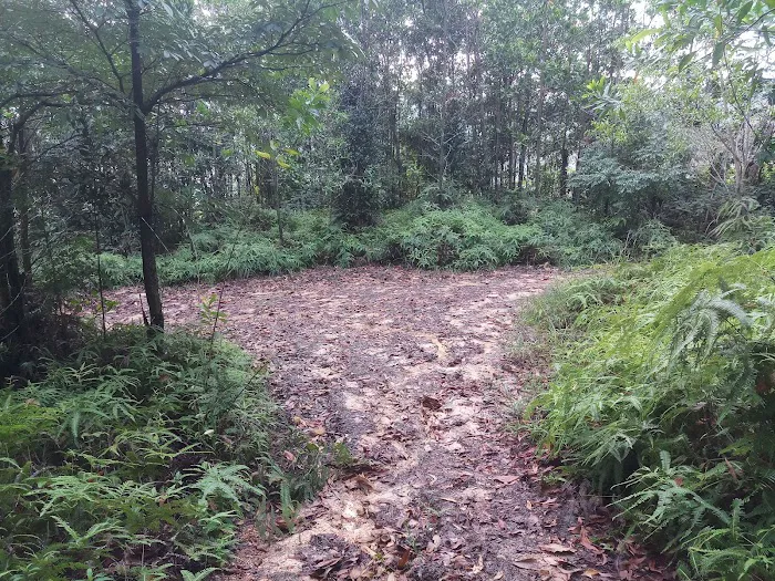 10C Setia Alam trail Picture 10