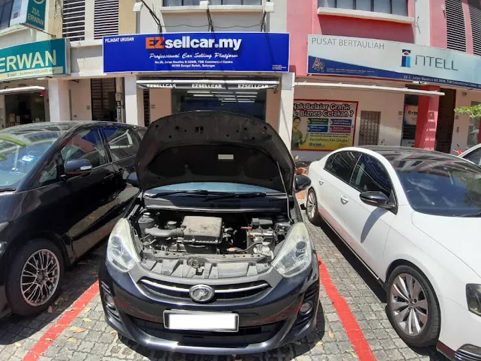 EZsellcar Picture 5