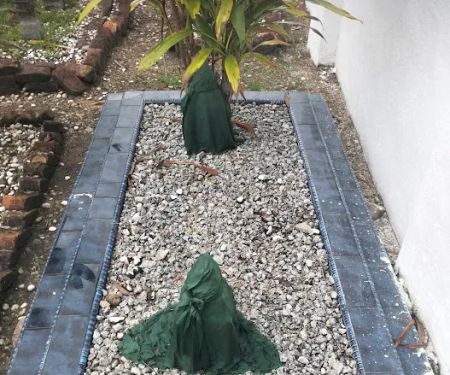Makam Syed Masyhur