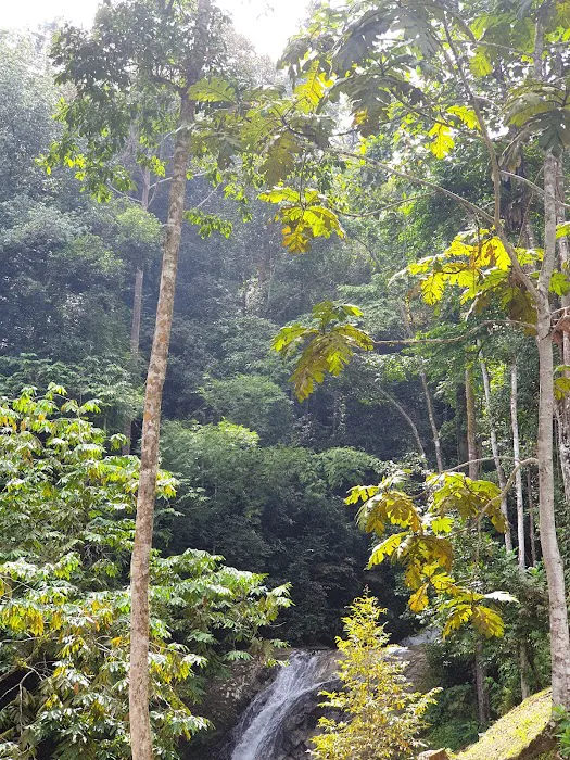 Ulu Yam Waterfall Picture 1