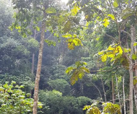 Ulu Yam Waterfall