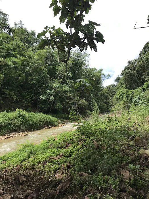 Ulu Yam Waterfall Picture 8