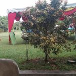 Dataran Kompleks Penghulu Mukim Kuang