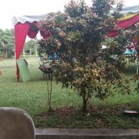 Dataran Kompleks Penghulu Mukim Kuang ico